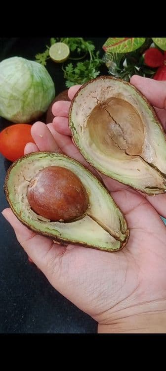 Classic Avocado Salad recipe