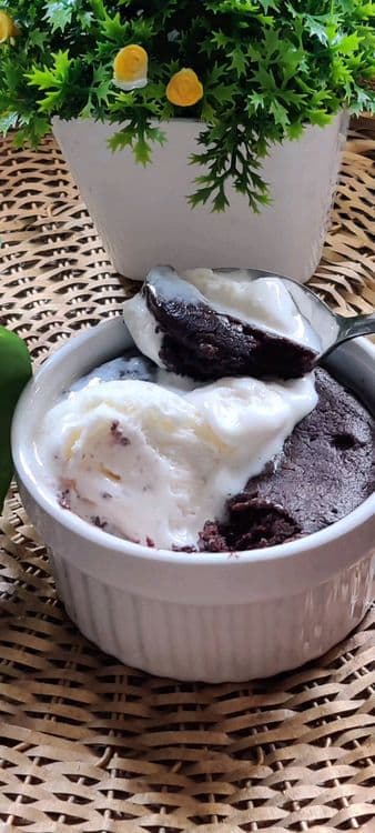 Chocolate Mug Cake recipe