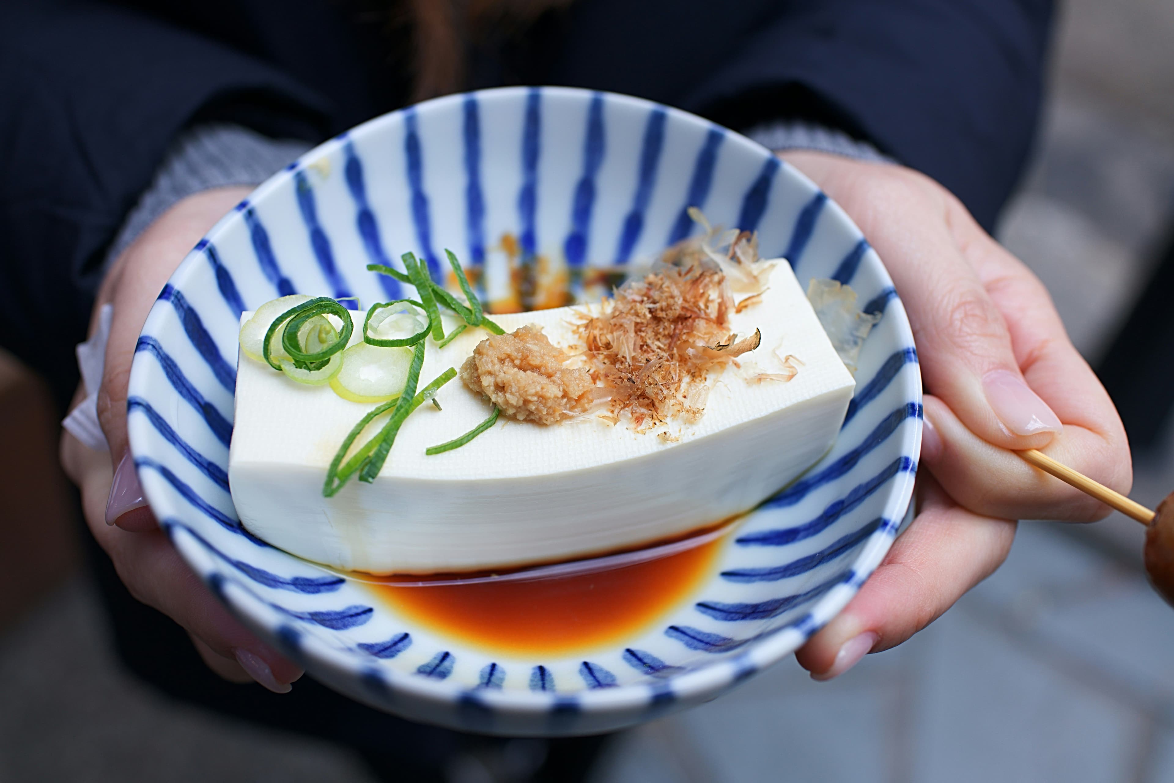 Tofu vs Paneer– Which is Better 3.jpg