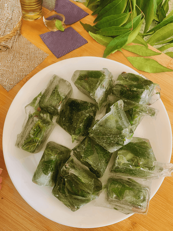 How to store Curry Leaves recipe