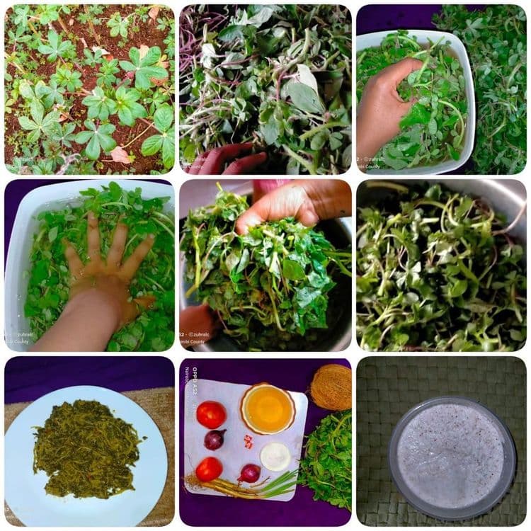 Garden Fresh Vegetable Stew #SAGETI recipe