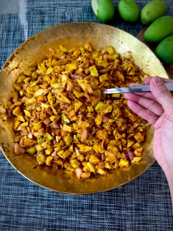 Yummy Mango Based Recipes - Some sweet & some savoury recipe 4