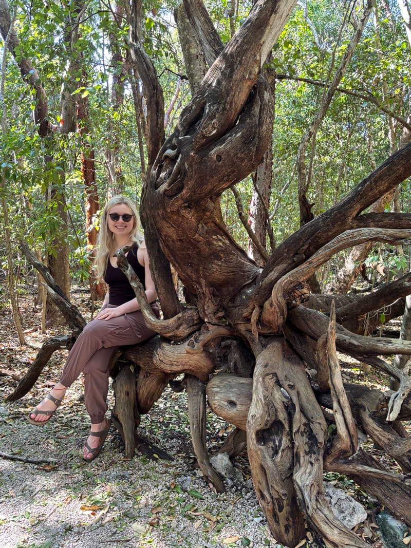 poultryraptor's profile picture